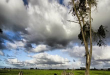 PG模拟器-包含今晚莱比锡调整名单以备欧联，内部沟通环节打磨，质疑声仍在，身体对抗强度拉满的词条